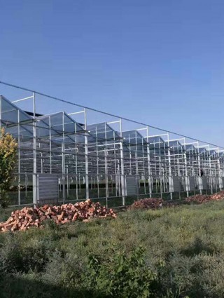 內蒙古包頭富立恒天農業(yè)合作社