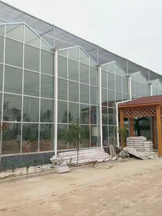 江西省贛州贛縣江口鎮(zhèn)，全玻璃溫室