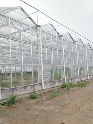 甘肅省玉門花海鎮(zhèn)2240 平生態(tài)溫室