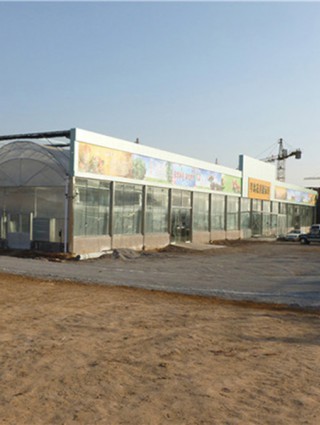 日照五蓮花卉市場施工