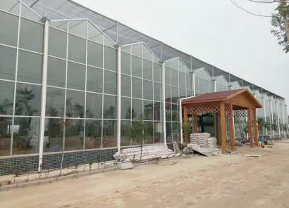 江西省贛州贛縣江口鎮(zhèn)，全玻璃溫室